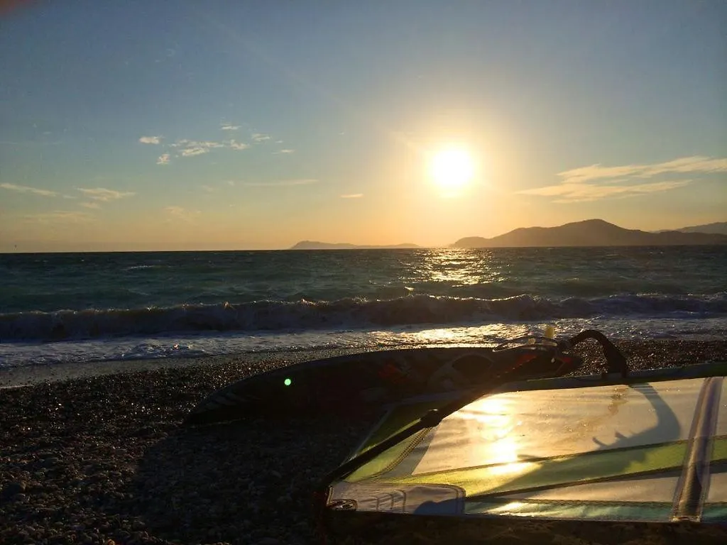 Pinéde plage Hyères