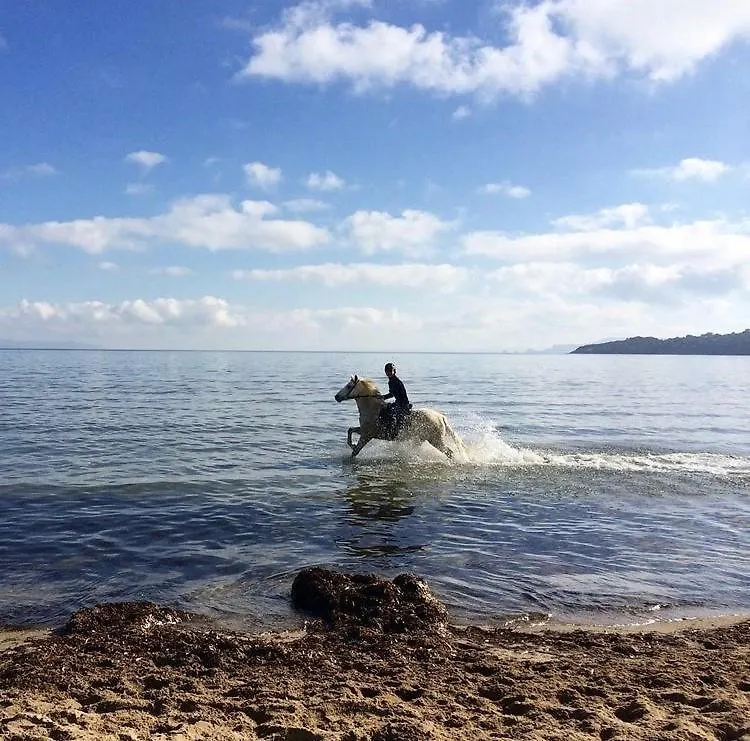 Pinede Plage Vue Mer 5 Pers Refait A Neuf Balneo Clim Parc Exotique Hyères Apartamento