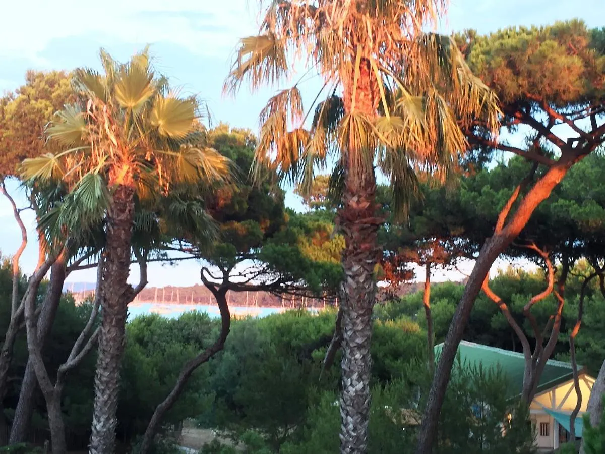 Pinéde plage Hyères Appartement